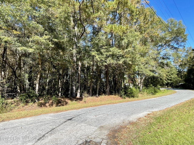 1239 Chance Boulevard, Robersonville, NC 27871 — photo 9