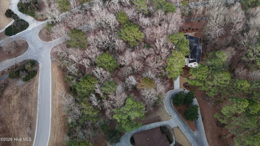 175 Southern Magnolia Lane image
