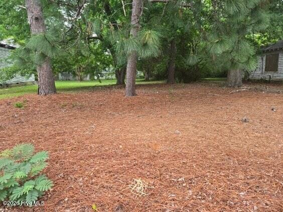 1115 Hargrove Street, Rocky Mount, NC 27801 — photo 2