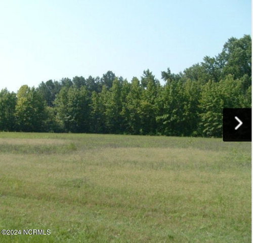 0 Nicodemus Mile Road, Rocky Mount, NC 27804
