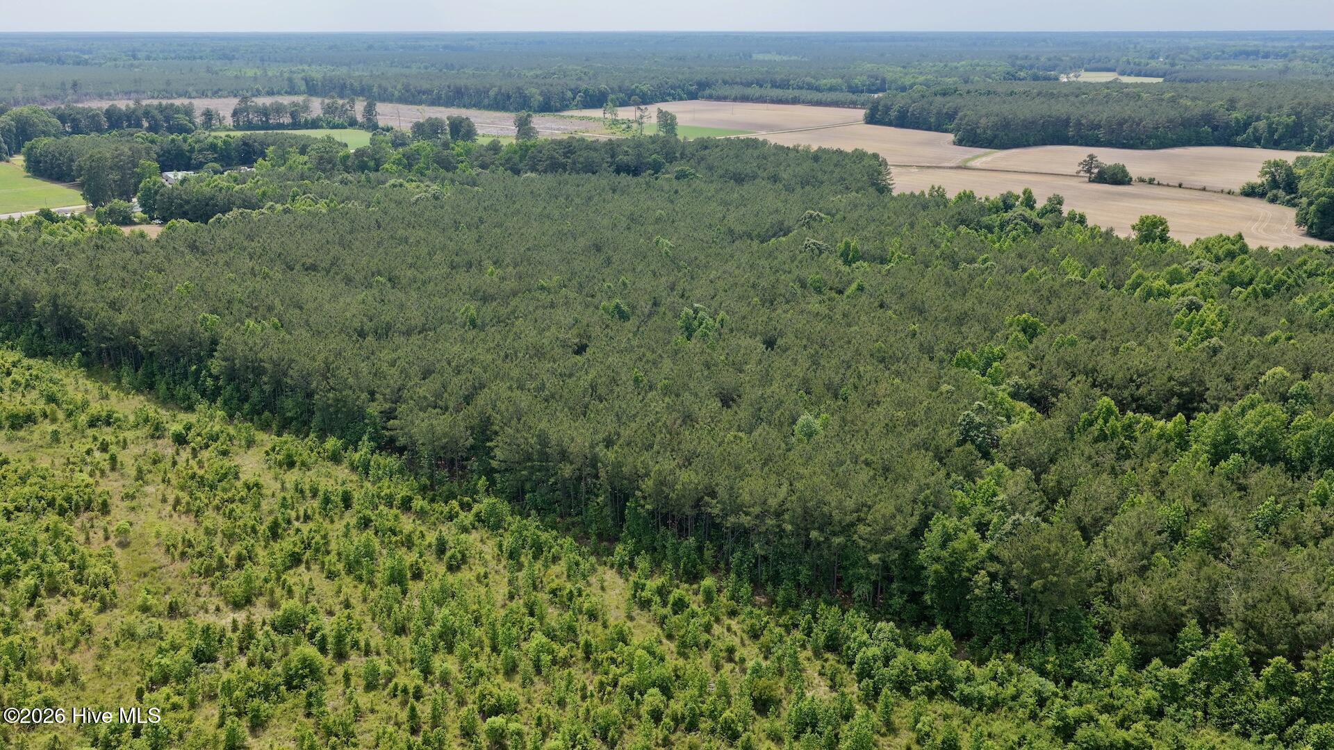 0 Off 1040d Republican Road, Windsor, NC 27983 — photo 2