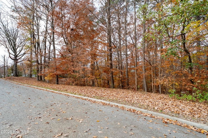 203 W Woodlawn Drive, Williamston, NC 27892 — photo 4