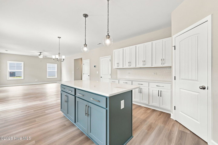 981 Rialto Lane, Ayden, NC 28513 — photo 13