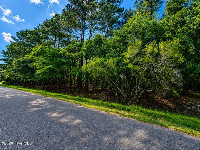 233 26 Pages Creek Drive image
