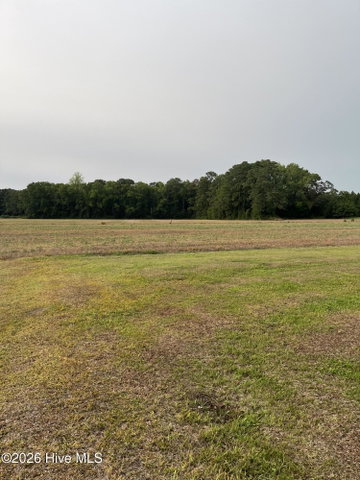 3091 Hudsons Crossroads Road, Greenville, NC 27858 — photo 8