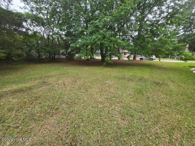 1115 Hargrove Street, Rocky Mount, NC 27801 — photo 5