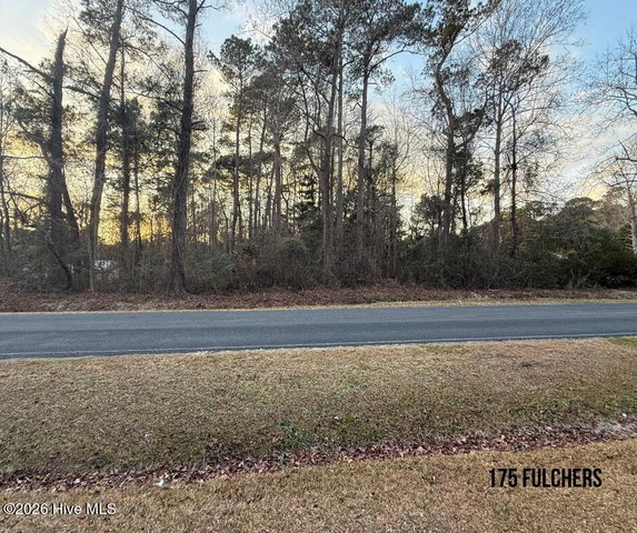 175 Fulcher Landing Road image
