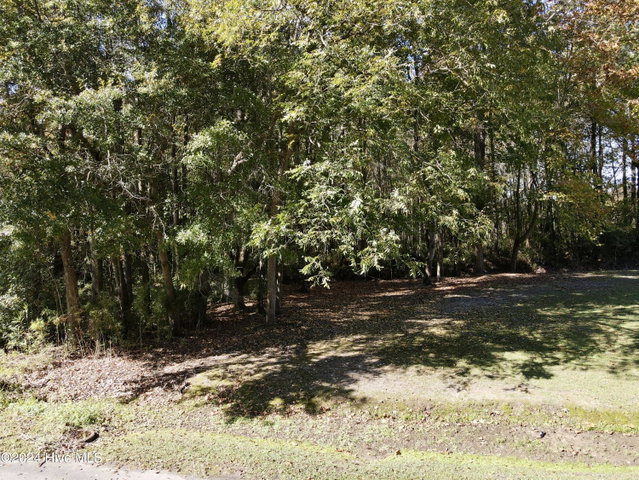 1239 Chance Boulevard, Robersonville, NC 27871 — photo 7