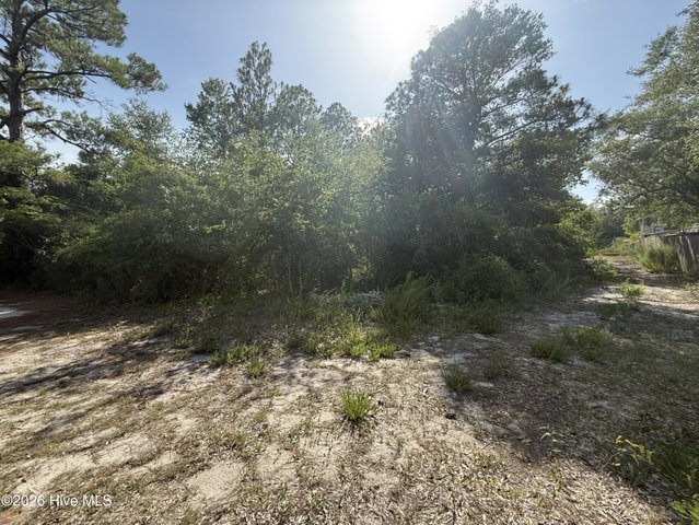 915 Blanche Avenue image