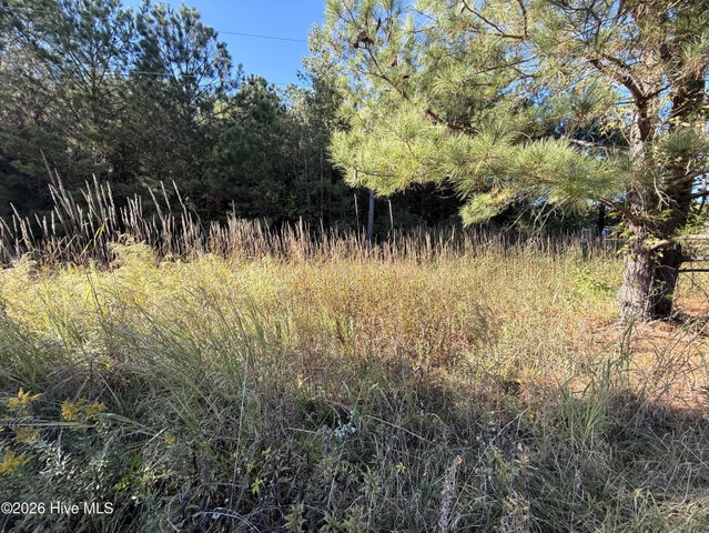 2434 Freeman Street, Farmville, NC 27828 — photo 2