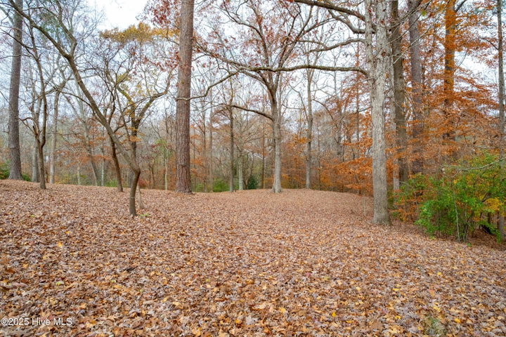 203 W Woodlawn Drive, Williamston, NC 27892 — photo 5