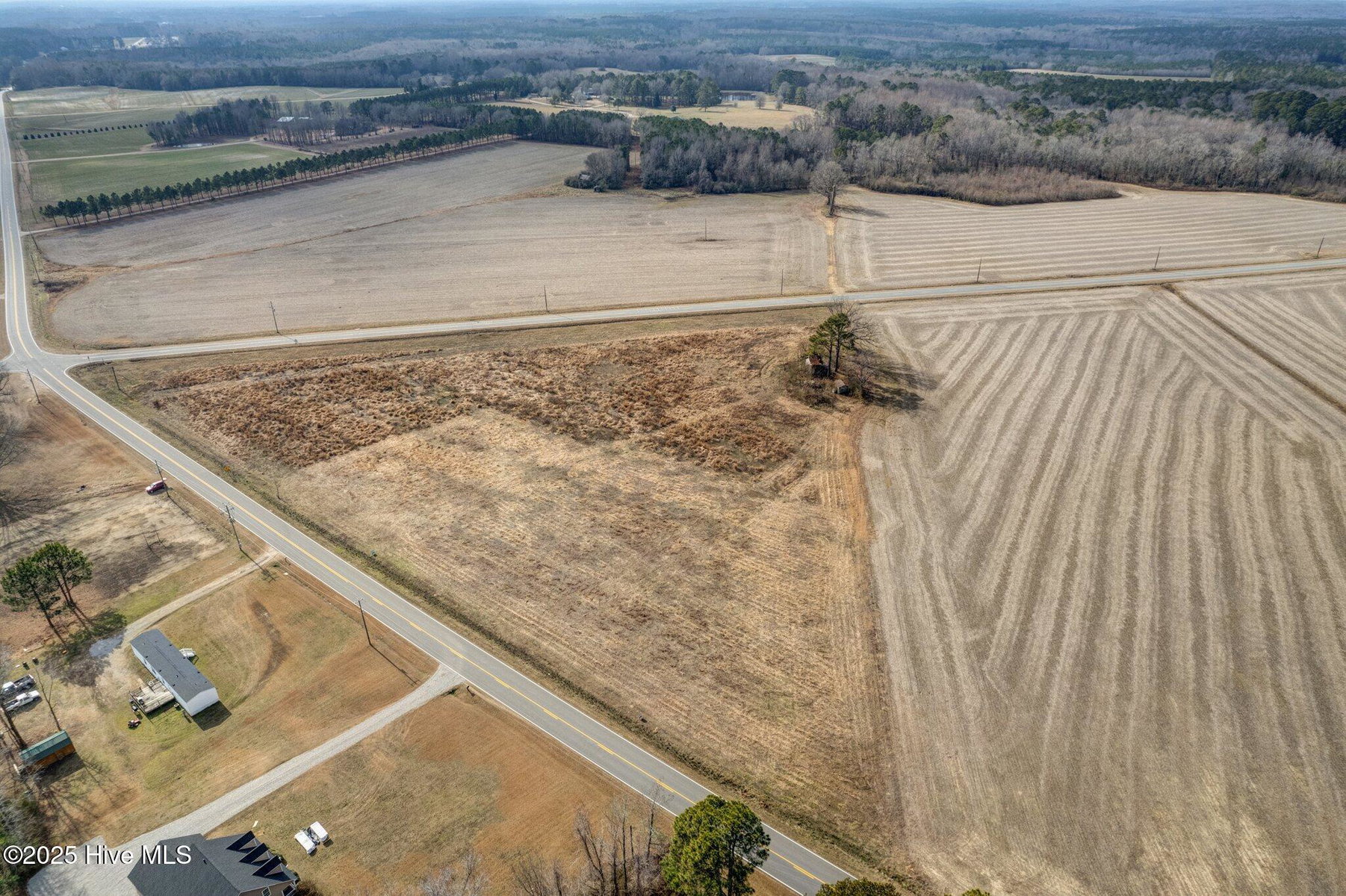 Lot 3 3 Red Oak Road, Whitakers, NC 27891 — photo 4