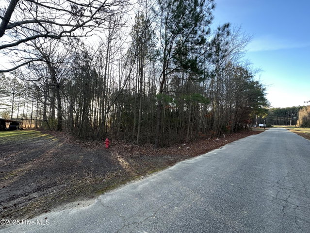 Tbd Pine Street, Conway, NC 27820