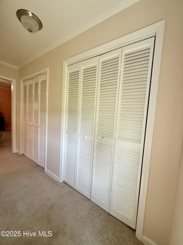 3773 Bear Grass Road, Williamston, NC 27892 — photo 37
