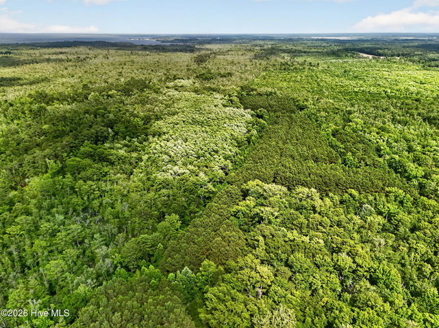 Tbd Pea Ridge Road, Roper, NC 27970 — photo 4