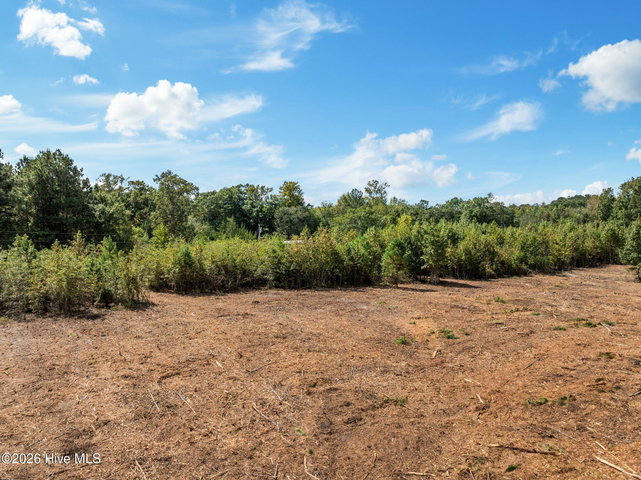 Lot 2 2 Jolly Ole Field Road, Grifton, NC 28530 — photo 12