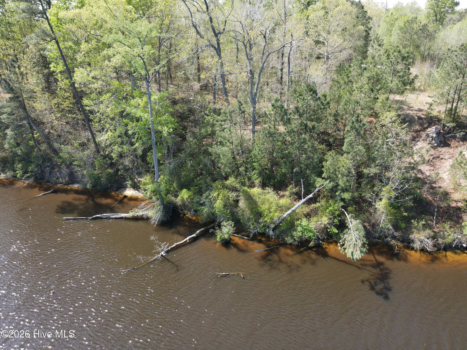 Lot 9 Riversedge Drive, Winton, NC 27986 — photo 5