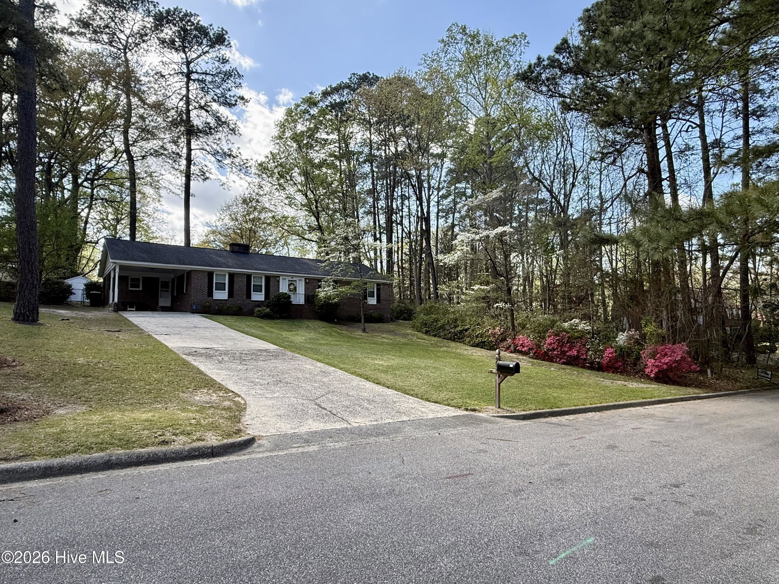 903 E Woodlawn Drive, Williamston, NC 27892 — photo 5