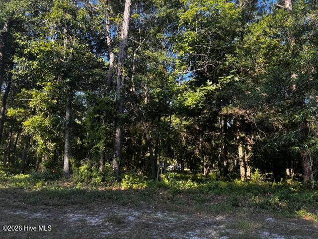 2408 Tract 2 Zion Hill Rd Road SE image