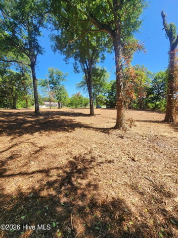 102 Deer Run image