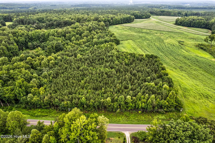 Lot 1 Avent Road, Whitakers, NC 27891 — photo 2