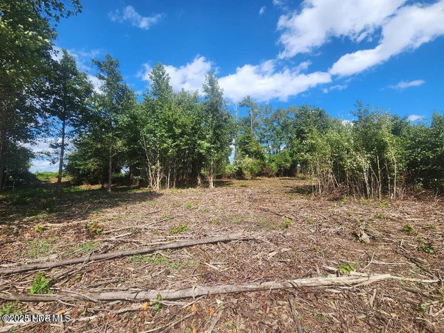6943 1 Us 264 E, Greenville, NC 27834 — photo 12