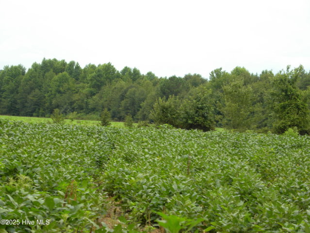 Tbd Conetoe Road, Greenville, NC 27834 — photo 8
