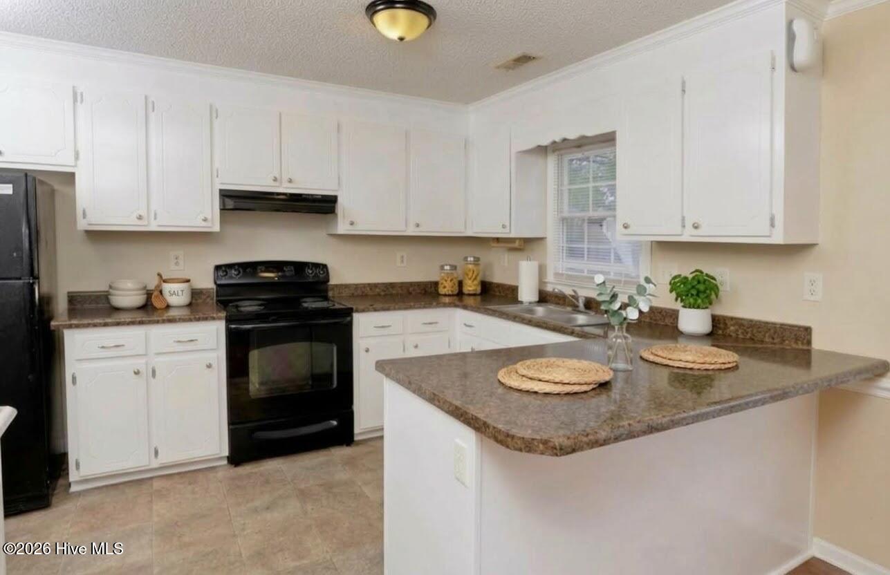 1111 Grovemont Drive F4, Greenville, NC 27834 — photo 4