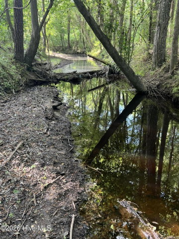 0 Tract 1 Nc 30, Stokes, NC 27884 — photo 14