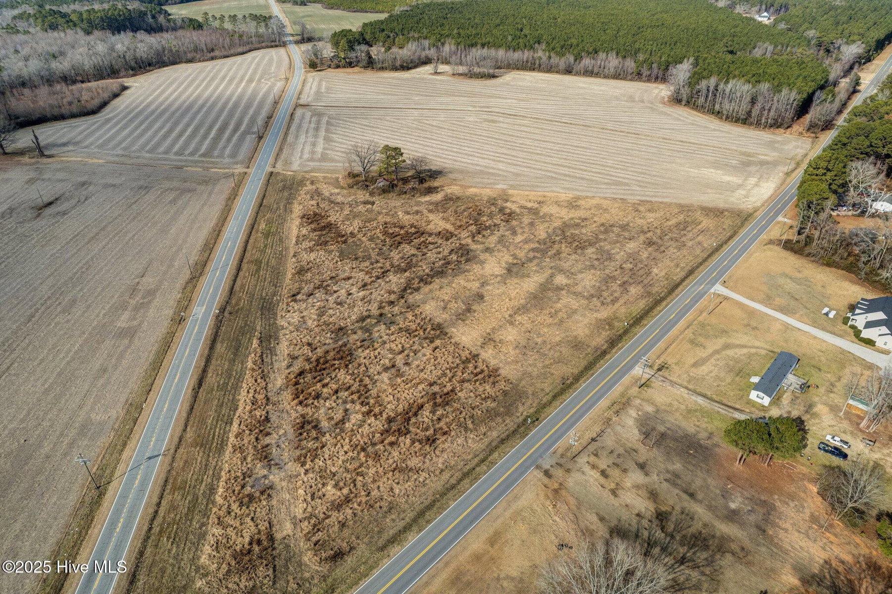 Lot 3 3 Red Oak Road, Whitakers, NC 27891 — photo 2