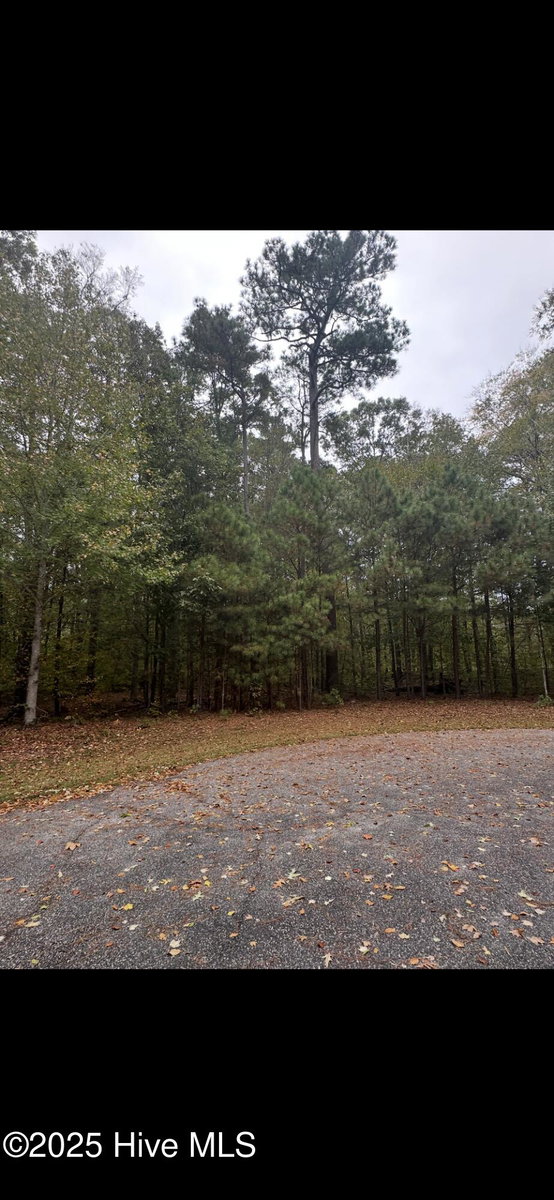 14 Broad River Drive, Hertford, NC 27944 — photo 2