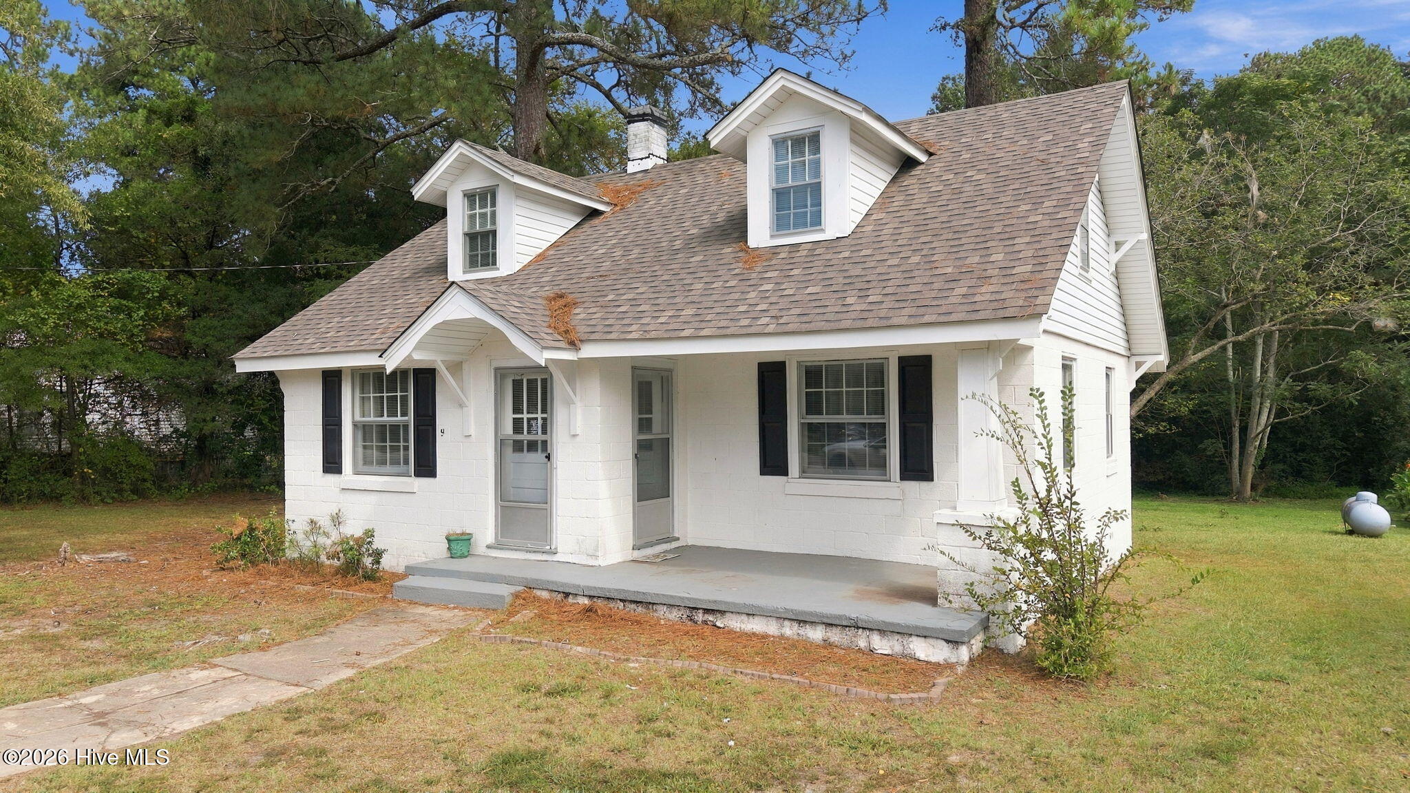 9349 Main Street, Castalia, NC 27816 — photo 3