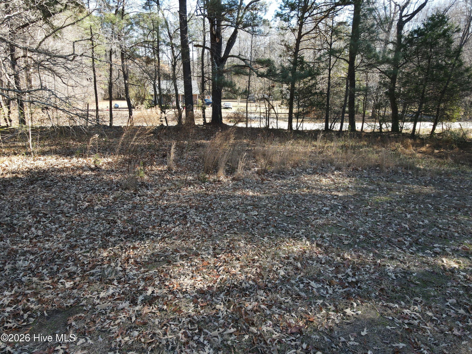 00 Sykes Road, Nashville, NC 27856 — photo 4