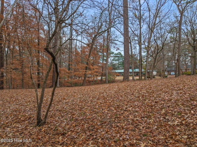203 W Woodlawn Drive, Williamston, NC 27892 — photo 7