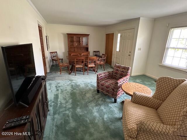 315 Hampton Drive, Plymouth, NC 27962 — photo 21