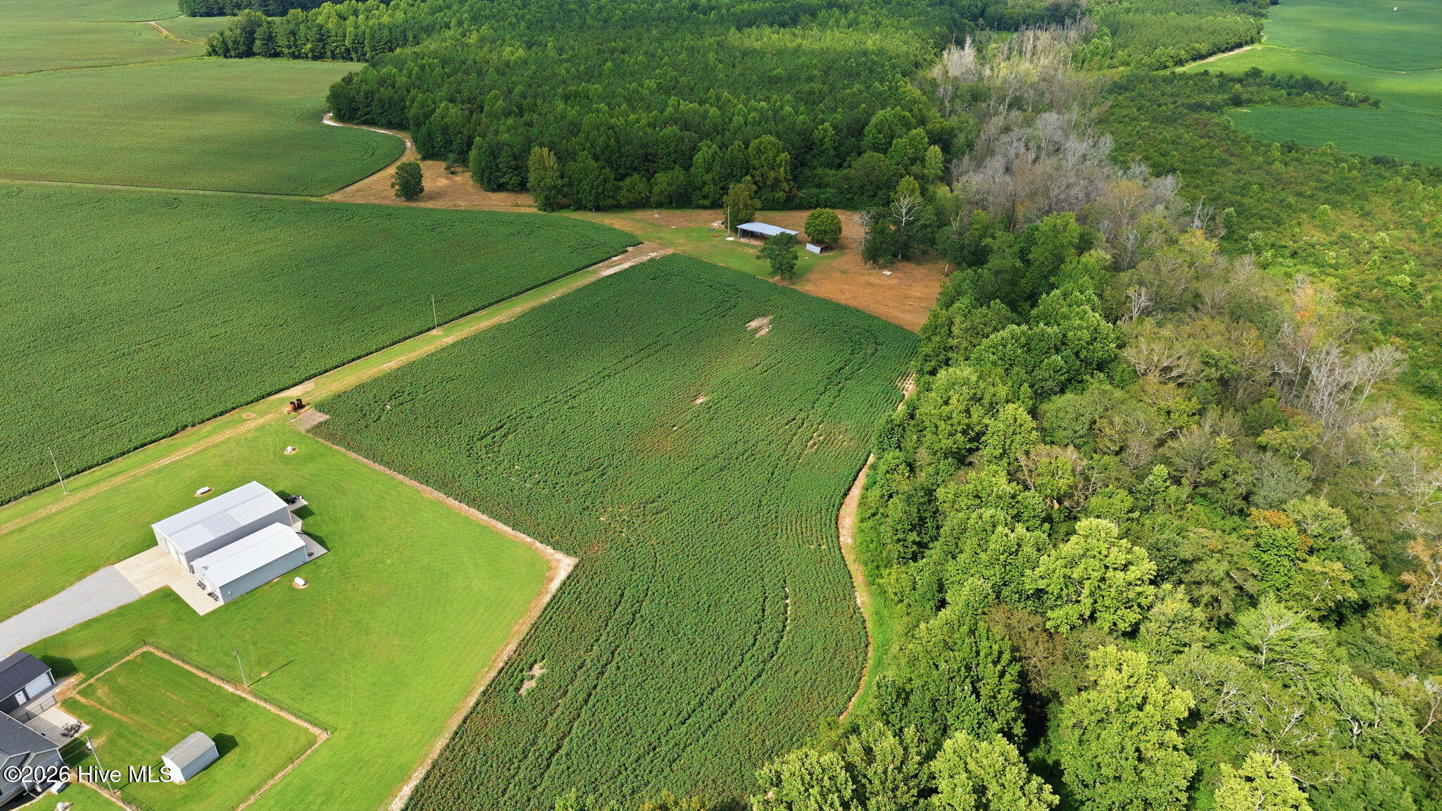 1811 Cannon Road, Hobgood, NC 27843 — photo 3