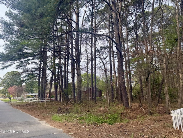 307 Viverette Avenue, Battleboro, NC 27809
