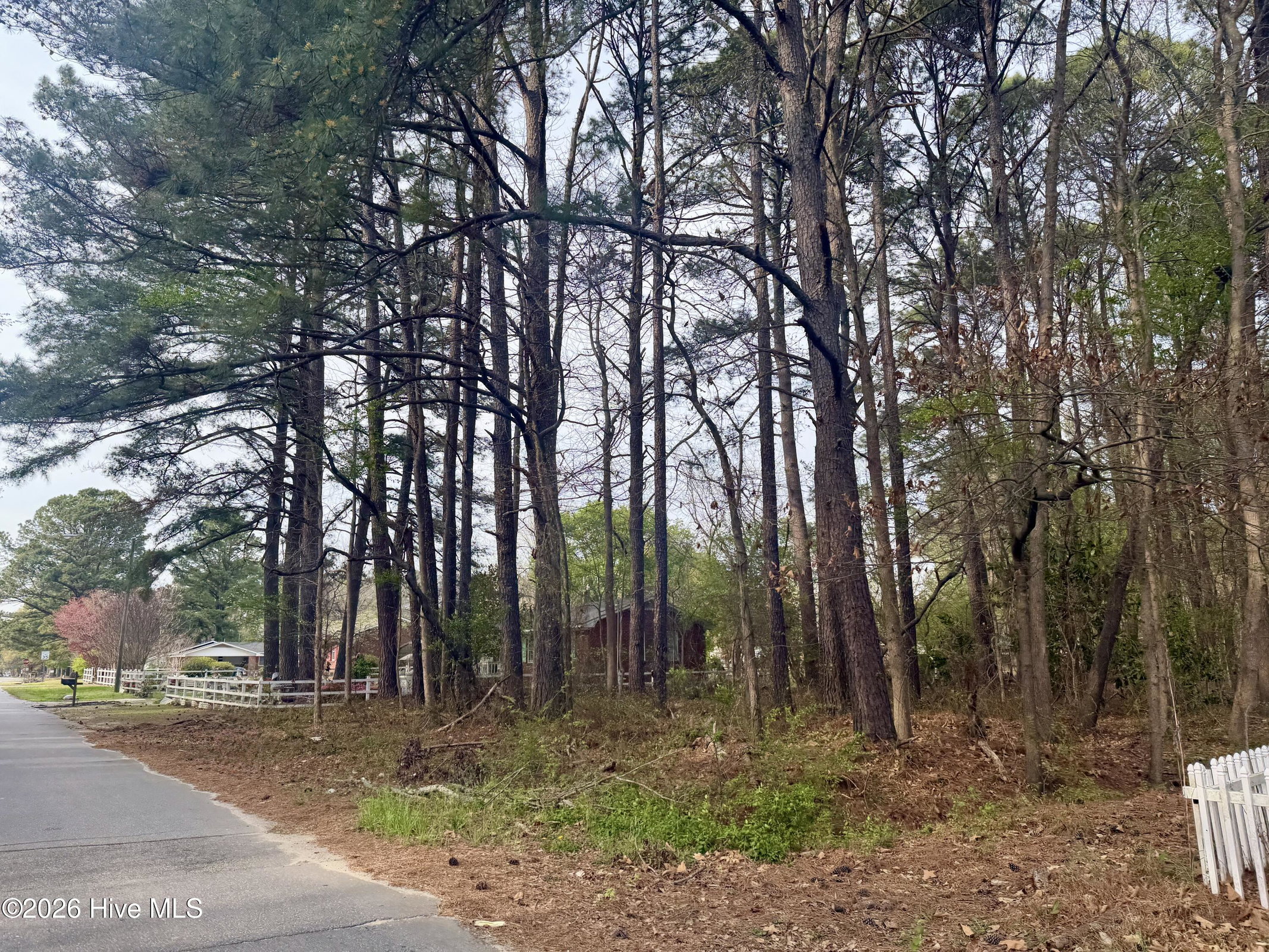 307 Viverette Avenue, Battleboro, NC 27809 — main photo