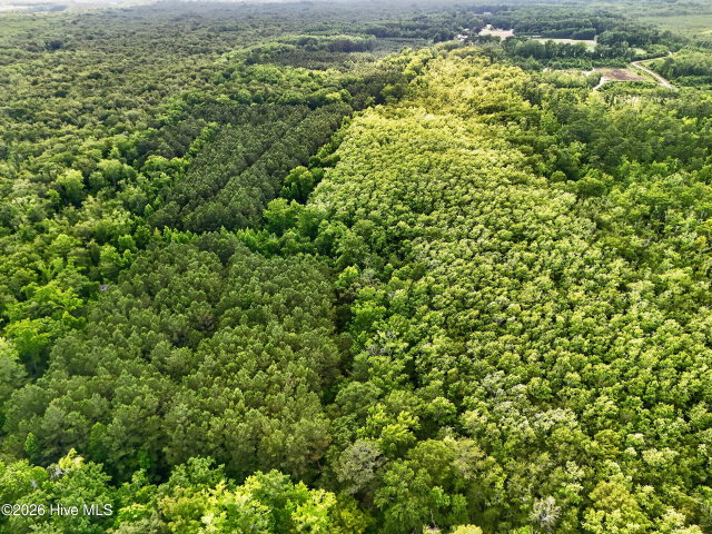 Tbd Pea Ridge Road, Roper, NC 27970 — photo 11