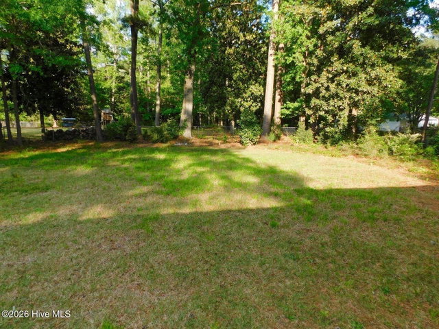 3313 S Church Street, Fountain, NC 27829 — photo 27