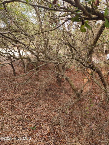 2356 10 Sandpiper Road, Corolla, NC 27927 — photo 21