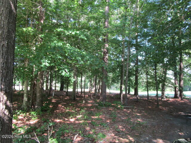 Lot 1 1 Roanoke Drive W, Hertford, NC 27944 — photo 2