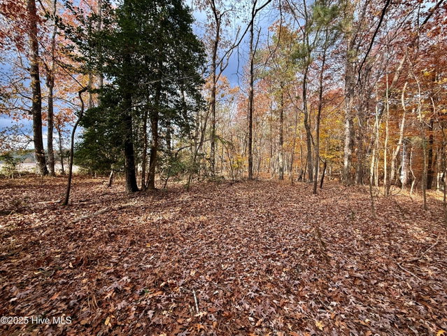 0 Williams Road, Williamston, NC 27892 — photo 13