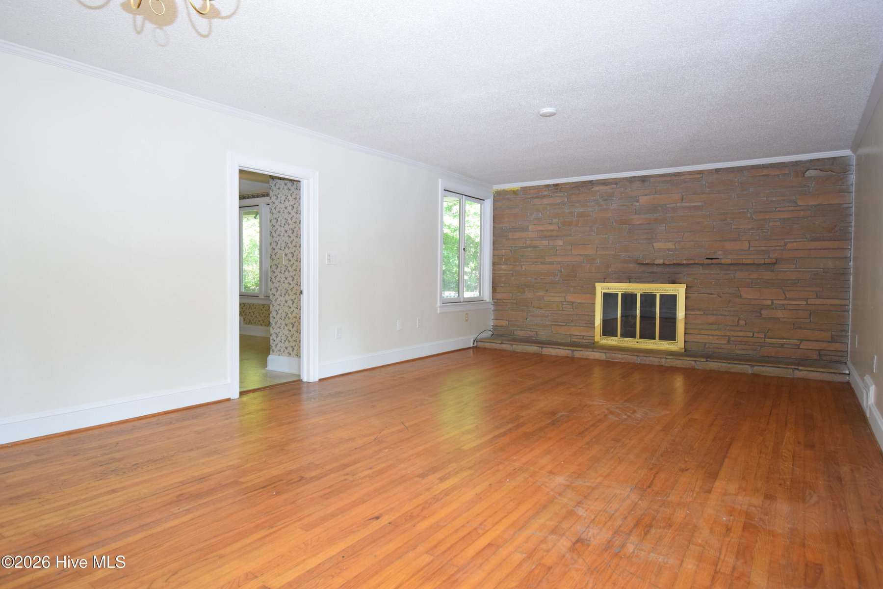 1509 E 4th Street, Greenville, NC 27858 — photo 3