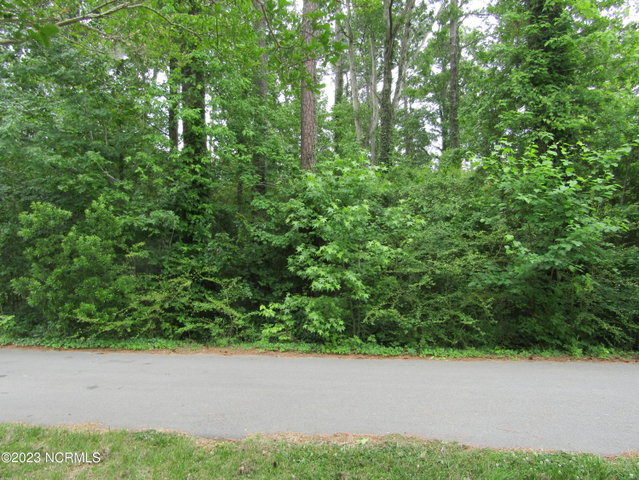 Lot 8 Quail Drive, Plymouth, NC 27962 — photo 1