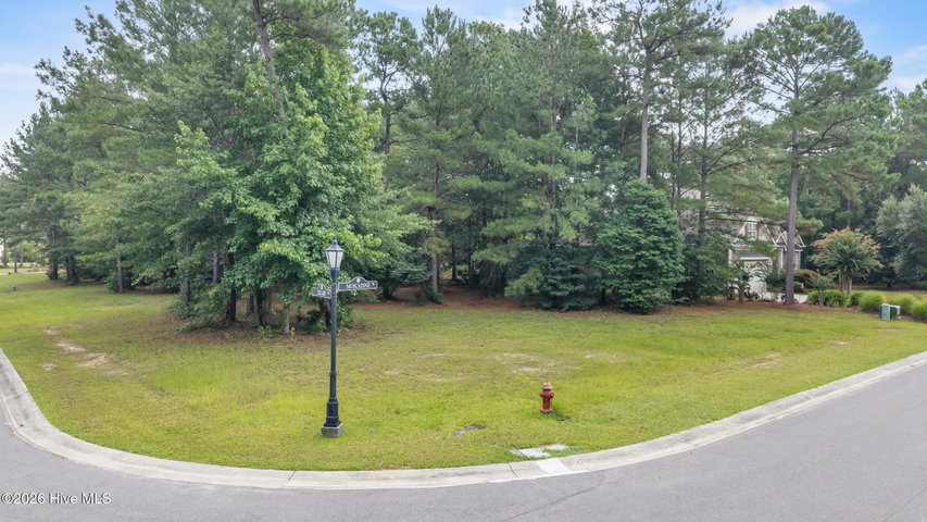 154 8 Muscadine Trail image