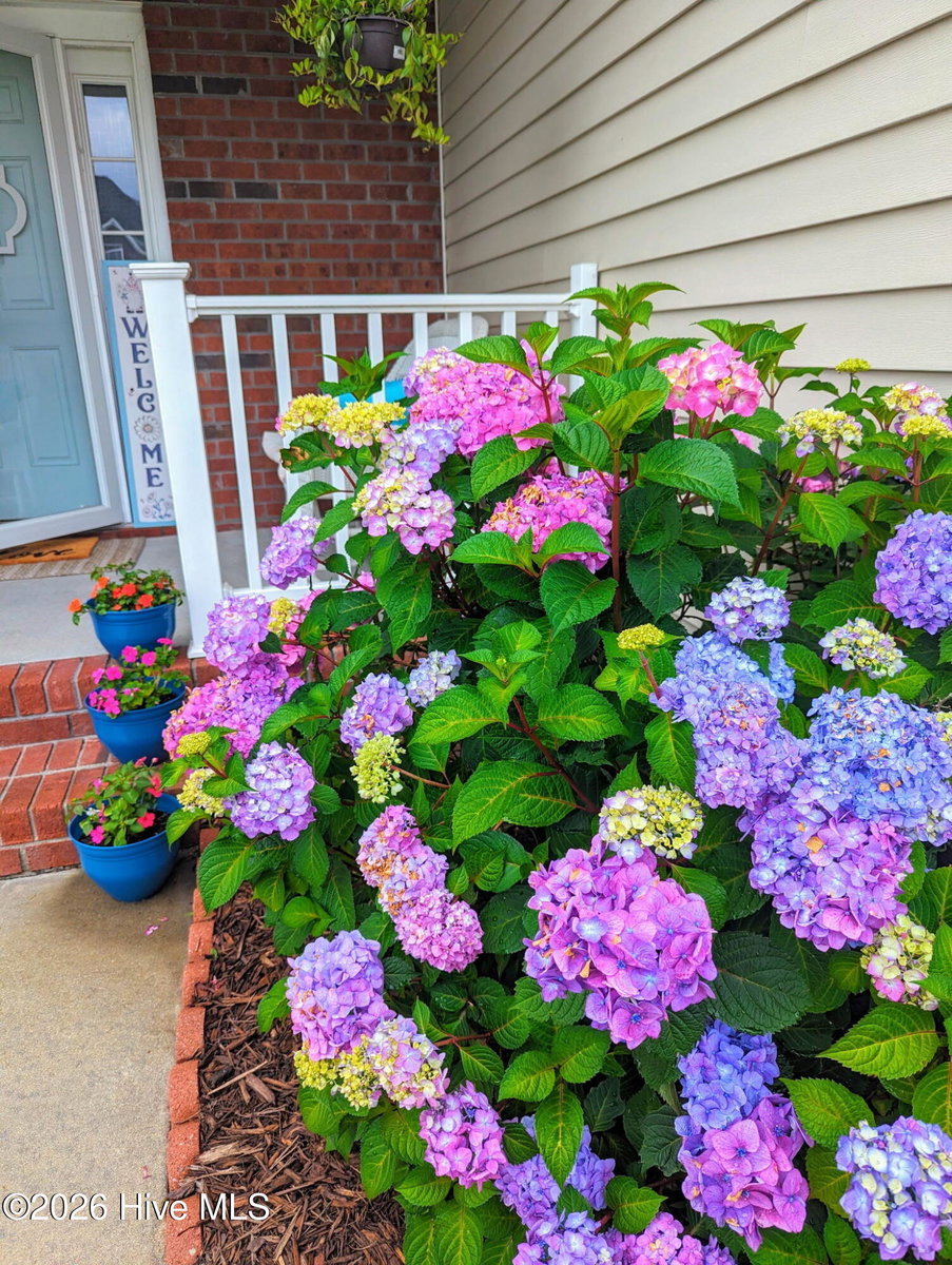 440 Meadowlark Drive, Winterville, NC 28590 — photo 2
