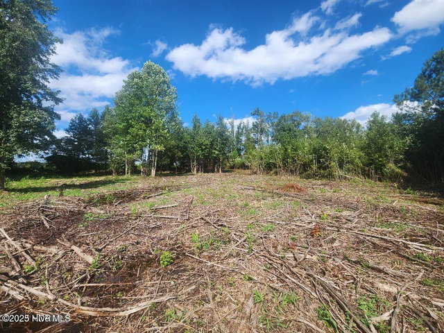 6943 1 Us 264 E, Greenville, NC 27834 — photo 14