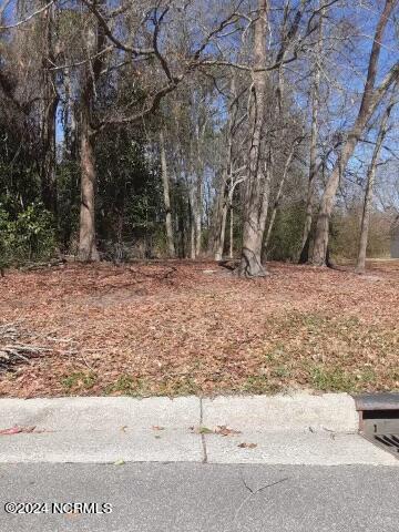 0 Hart Street, Ayden, NC 28513 — photo 2