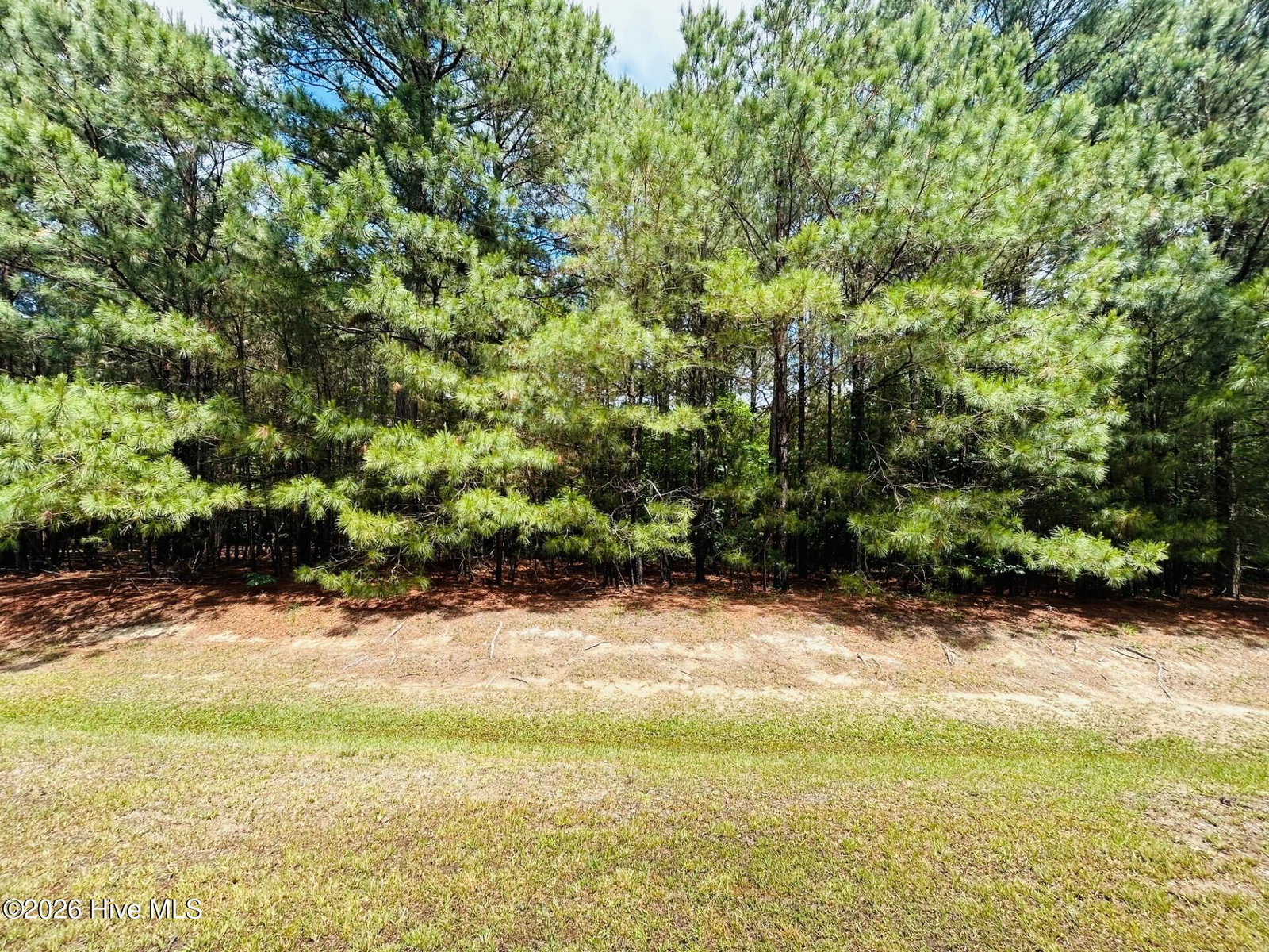 38 38 Calm Harbor Street, Hertford, NC 27944 — photo 2